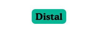 Distal