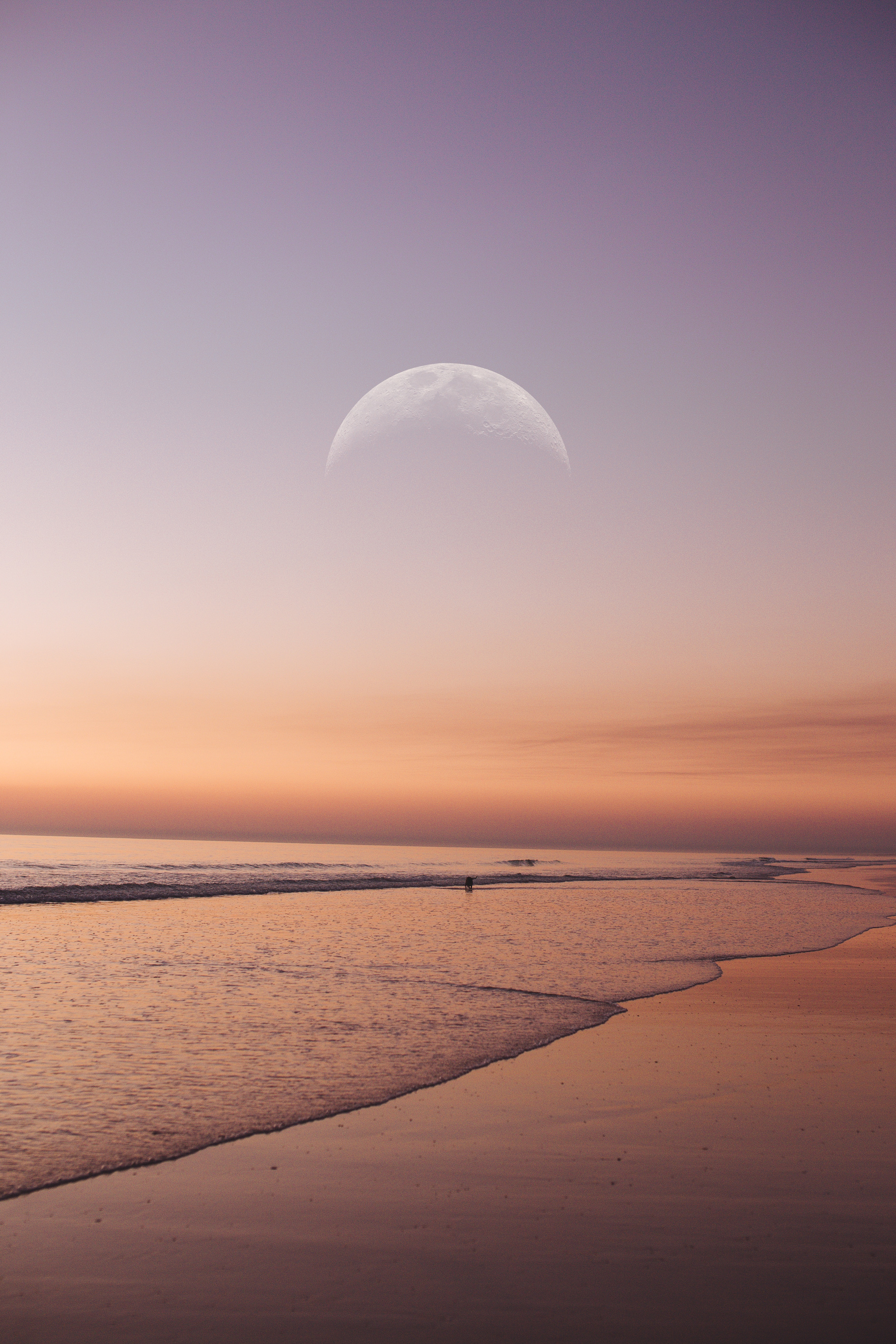 Moon Over the Sea at Sunset